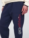 GAP Pantaloni Gap Athletic GAP