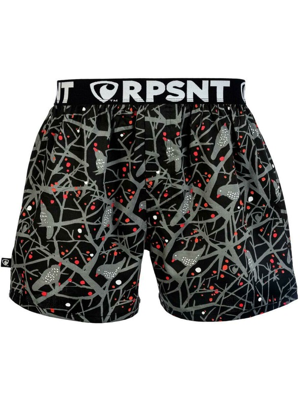 Represent Pantaloni scurți pentru bărbați EXCLUSIVE MIKE HITCHCOCK'S DREAM Reprezintă