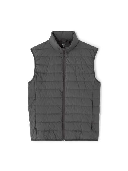 Celio Vestă Mulightsl