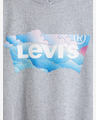 Levi's® Graphic Jordie Tricou