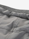 ALPINE PRO Pantaloni softshell pentru bărbați ALPINE PRO LIEM gri