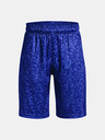 Under Armour Boys' Shorts Under Armour UA Renegade 3.0 PRTD Shorts
