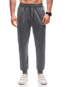 Edoti Pantaloni de trening pentru bărbați Edoti Grey