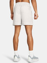 Under Armour Pantaloni scurți Under Armour Curry Woven pentru bărbați