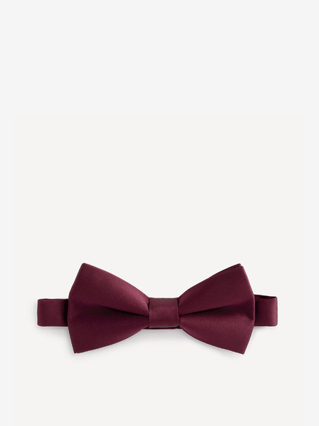 Celio Bibow2 Papion