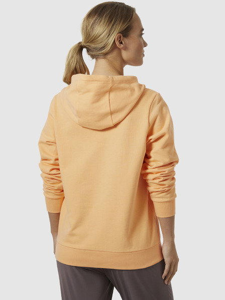 Helly Hansen HH Logo Hoodie 2.0 Hanorac