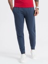 Ombre Clothing Pantaloni de trening GAP