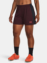 Under Armour Under Armour UA W's Ch. Knit Short