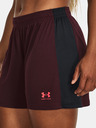 Under Armour Under Armour UA W's Ch. Knit Short