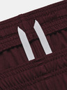 Under Armour Under Armour UA W's Ch. Knit Short
