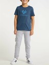 Ragwear Tricou albastru închis pentru băieți Ragwear Cheero