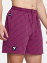 Under Armour Pantaloni scurți bărbătești Under Armour Pjt Rck Icon Flc Short Pt BOH