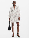 Desigual Rochie de cămașă cu motive pentru femei Desigual Louisville