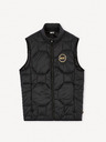 Celio Vesta UFC Celio