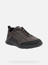 Geox Adidași pentru bărbați maro Geox Sanzio