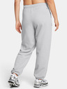 Under Armour Pantaloni pentru femei Under Armour UA Icon HWT Terry OS