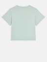 Dickies Aitkin Tricou