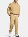 Under Armour Hanorac pentru bărbați Under Armour UA Icon HWT Flc Wash OS Hood-BRN