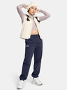 Under Armour Pantalon de jogging Under Armour UA Icon Fleece, pentru femei