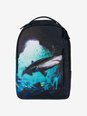 BAAGL  Rucsac negru Baagl eARTh - Shark de Lukero