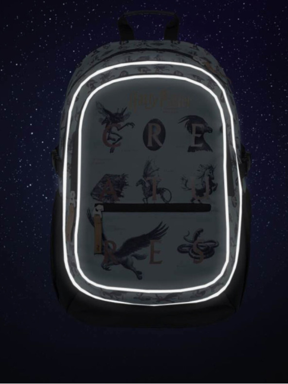 BAAGL  Rucsac școlar albastru Baagl Core Harry Potter Fantastic Beasts