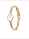 Daniel Wellington Petite Mini 19 Evergold Ceas