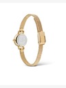 Daniel Wellington Petite Mini 19 Evergold Ceas