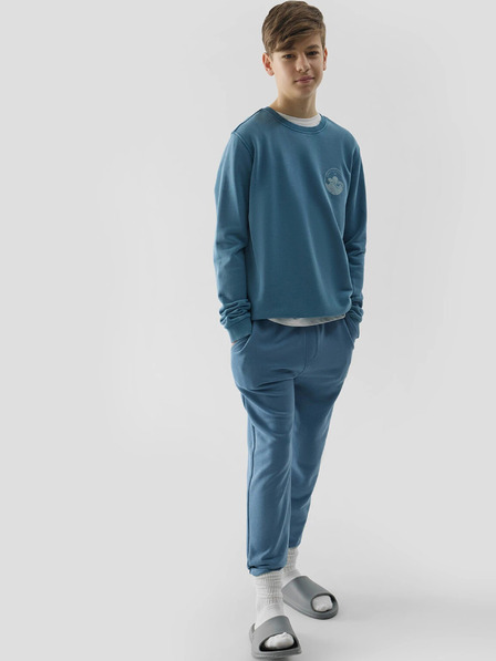 4F Pantaloni de trening pentru băieți 4F