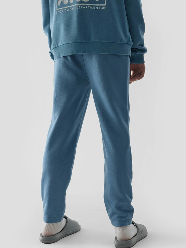 4F Pantaloni de trening pentru băieți 4F