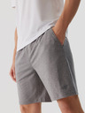 4F Pantaloni scurți sport cu uscare rapidă pentru bărbați 4F