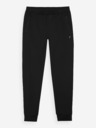 4F Pantaloni sport cu uscare rapidă pentru bărbați 4F