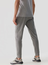 4F Pantaloni sport cu uscare rapidă pentru bărbați 4F