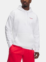 Under Armour Under Armour Pjt Rck Icon Fleece Hdy, bărbați