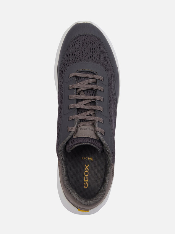 Geox Adidași Geox Klaiver gri închis pentru bărbați