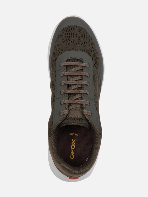 Geox Adidași bărbați kaki Geox Klaiver