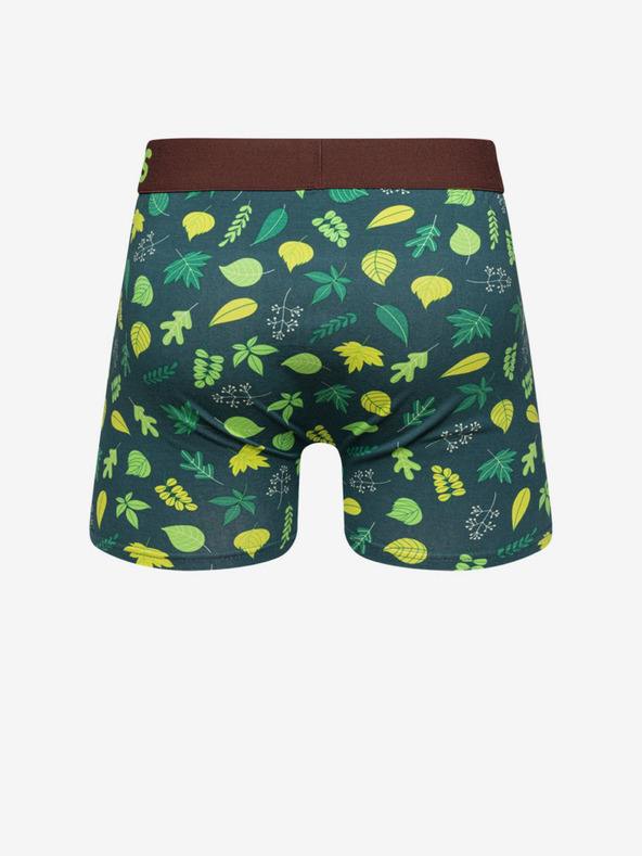 Dedoles Boxeri bărbați veseli Petrol Dedoles Forest Lodge