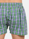 Styx Pantaloni scurți în carouri Styx pentru bărbați, verzi