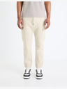 Celio Pantaloni slim cargo Dolyte 30 Celio