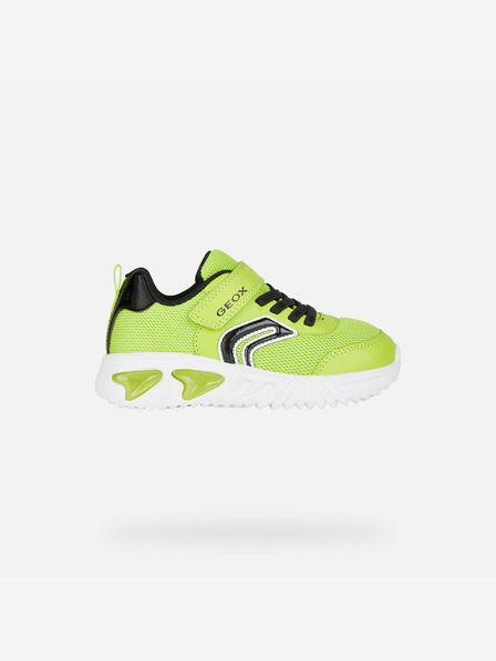 Geox Verde deschis Adidași pentru băieți Geox Assister