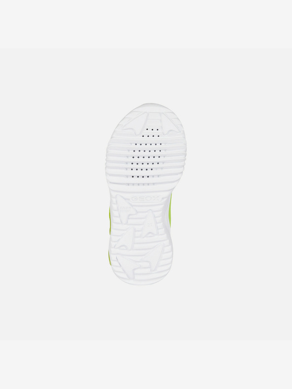 Geox Verde deschis Adidași pentru băieți Geox Assister