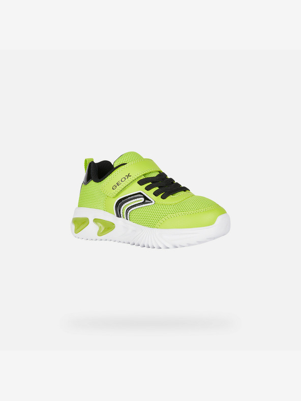 Geox Verde deschis Adidași pentru băieți Geox Assister