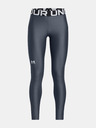 Under Armour Under Armour Fete HG Legging