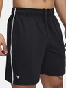 Under Armour Pantaloni scurți Under Armour Pjt Rck Mesh pentru bărbați