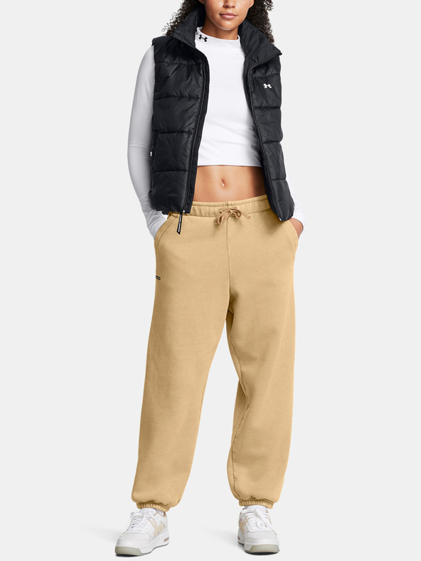 Under Armour Femei Under Armour UA Icon HWT Flc OS Pant-BRN