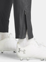 Under Armour Pantaloni pentru femei Under Armour UA W's Ch. Pique Pant-GRY