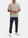 Under Armour Pantaloni Under Armour UA Holiday Vibe Cargo Pant