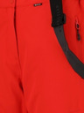 Whistler Pantaloni de schi pentru femei Whistler DRIZZLE