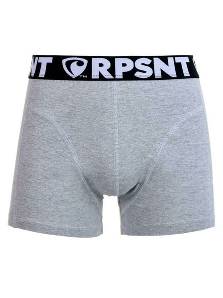 Represent Pantaloni scurți pentru bărbați EXCLUSIVE SPORT GREY Represent