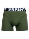 Represent Pantaloni scurți pentru bărbați EXCLUSIVE SPORT GREEN Represent
