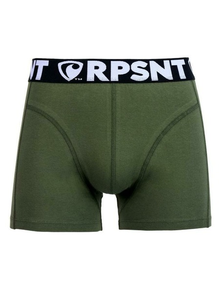 Represent Pantaloni scurți pentru bărbați EXCLUSIVE SPORT GREEN Represent